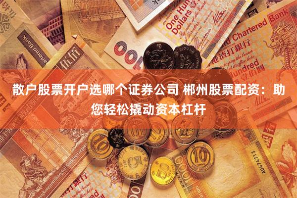 散户股票开户选哪个证券公司 郴州股票配资：助您轻松撬动资本杠杆