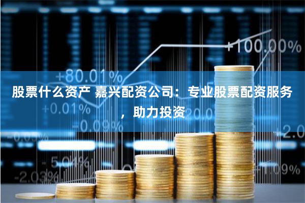 股票什么资产 嘉兴配资公司：专业股票配资服务，助力投资