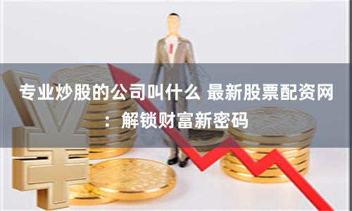 专业炒股的公司叫什么 最新股票配资网：解锁财富新密码